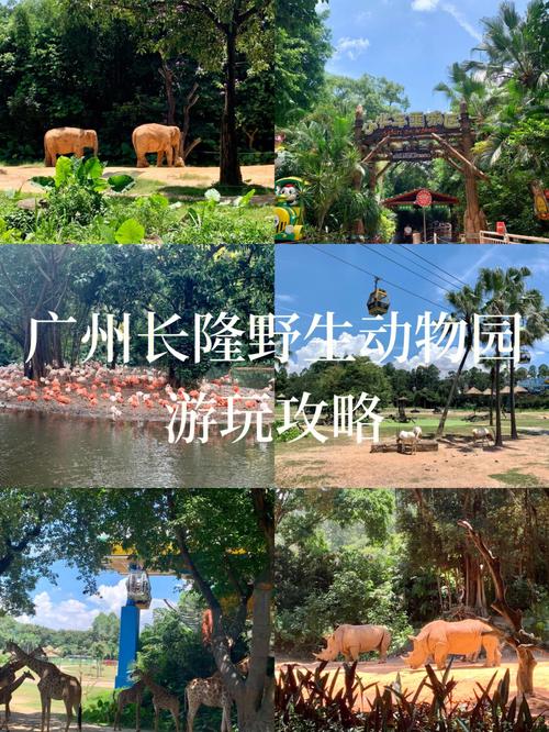 广州长隆野生动物园-广州长隆野生动物园游玩攻略一天